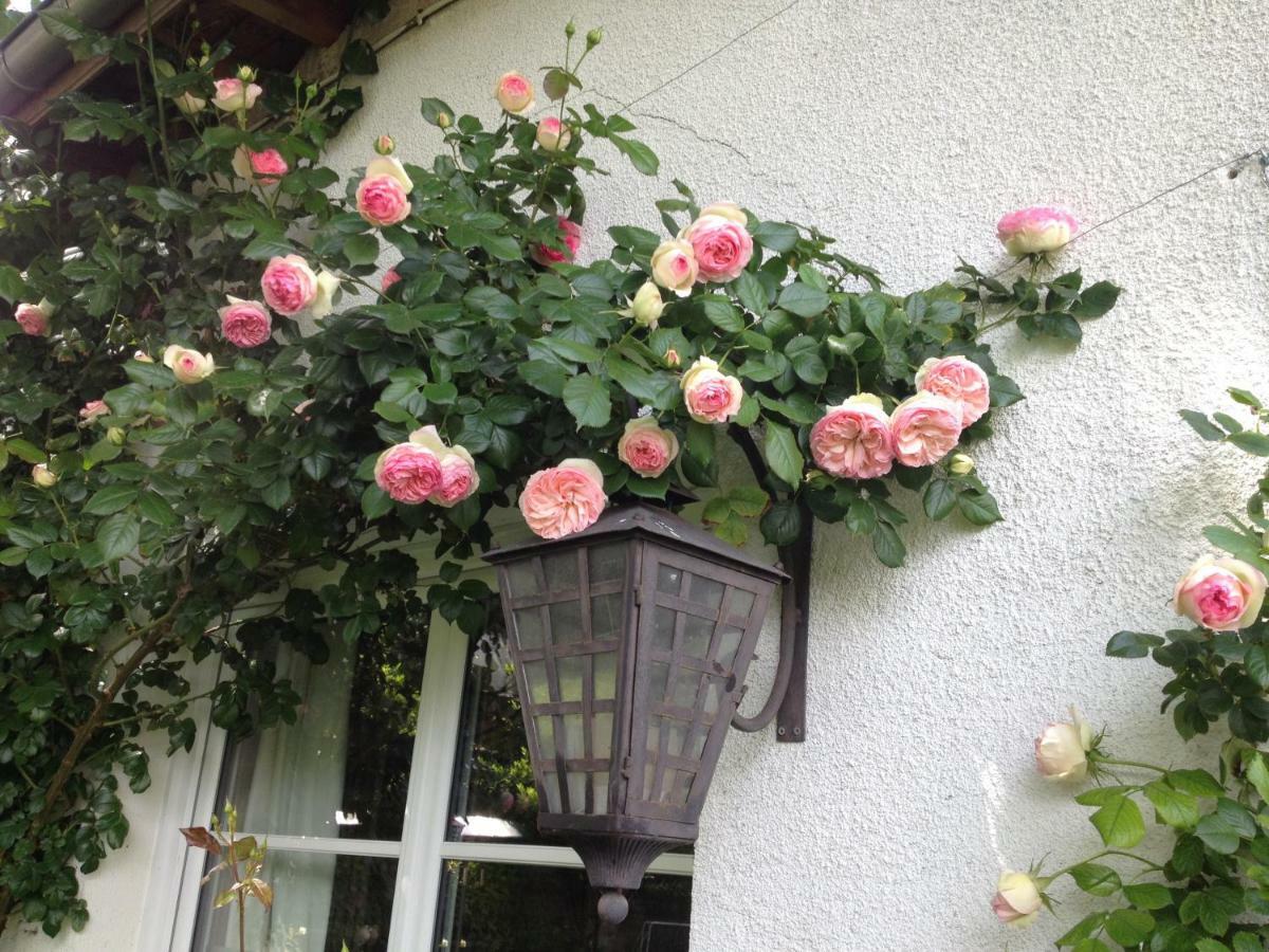 Vila Le Petit Val Rose Villennes-sur-Seine Exteriér fotografie